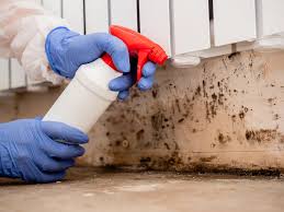 Biohazard Mold Removal in Uhland, TX